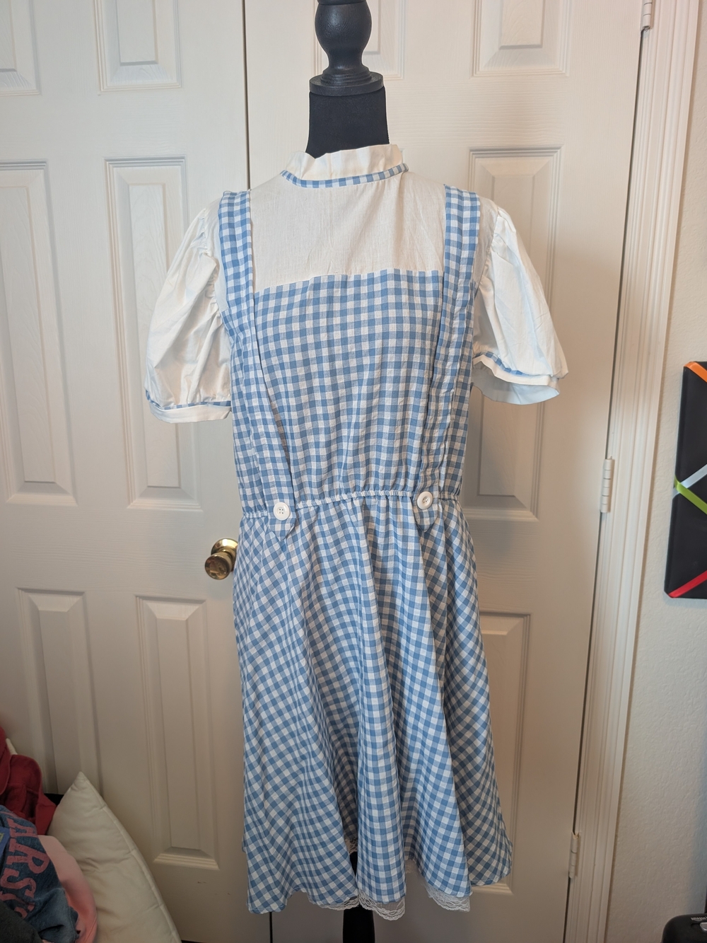 Dorothy Costume